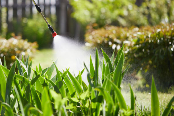 24/7 Emergency Wasp Removal experts in Bernardsville, NJ