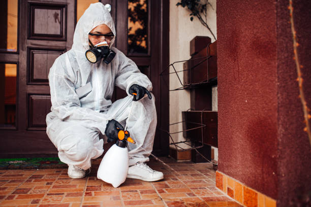 Reliable Wasp Removal contractor in Bernardsville, NJ by Show Me Pest Control